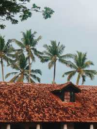 Galle, Sri Lanka 🇱🇰🌴