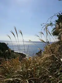 윤슬 위로 걷는 찬란함, 송악산 둘레길