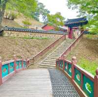 통일신라때 세워진 보석 같은 금산의 절 -  보석사