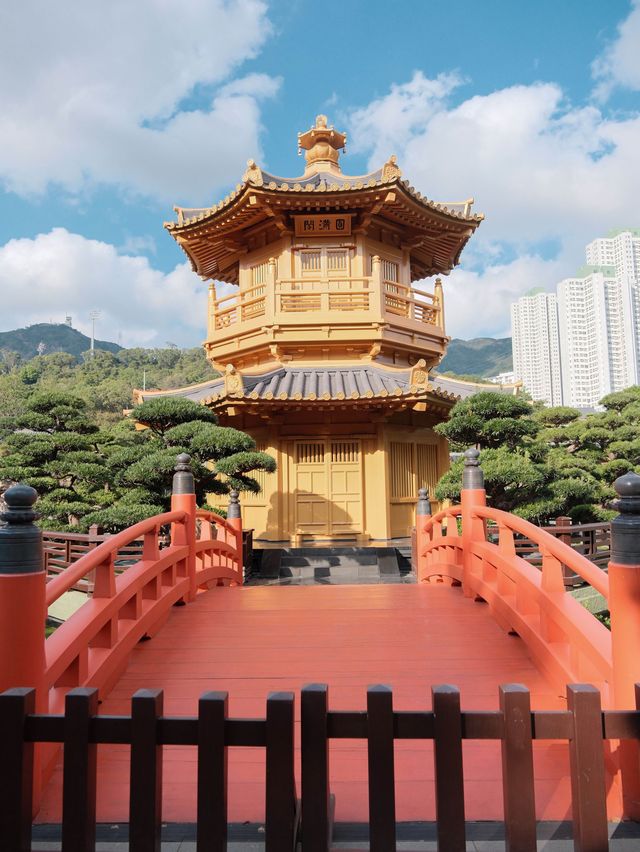 香港  |  走進鬧市里禪意十足的園林秘境~  