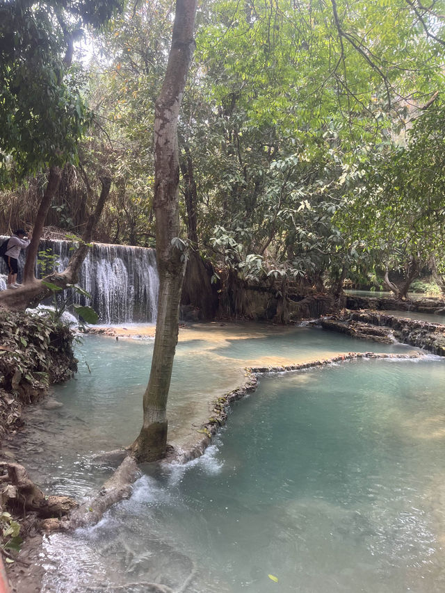 The bluest waterfall in Laos🩵