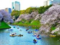 Chidorigafuchi Moat