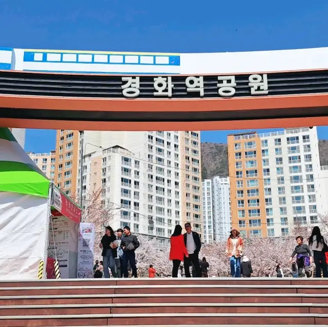 Cherry Blossom Gyeonghwa Station