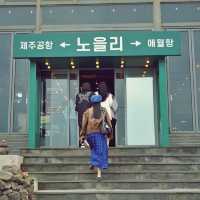 ☕️ 노을리, 애월 해안의 휴양지 같은 카페