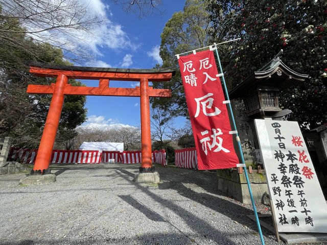平野神社～京都賞櫻必去
