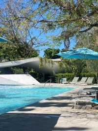 🇵🇭CEBU 호캉스로 시작해서 호캉스로 끝내기! Tambuli Seaside Resort and Spa