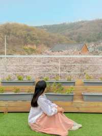 청주 사람들도 잘 모르는 숨은 벚꽃길과 카페 추천🌸💖