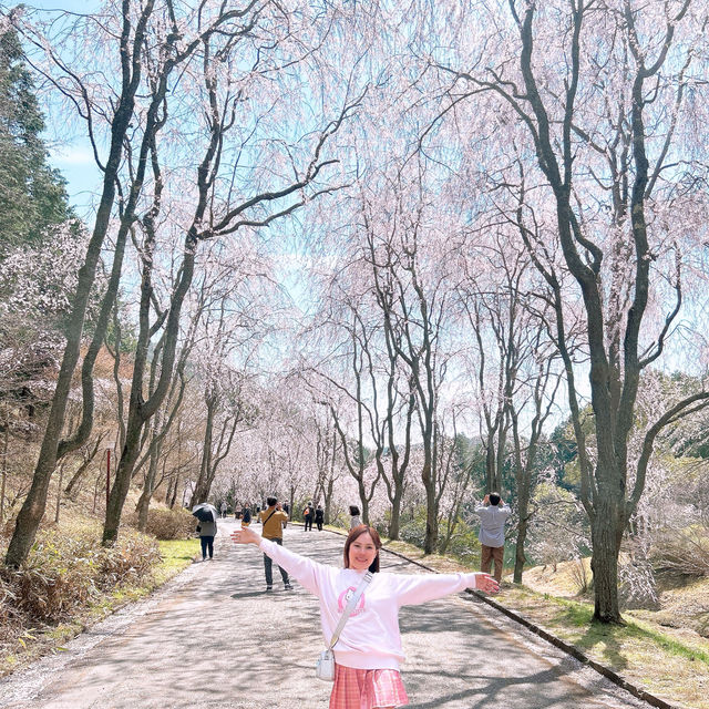 広島県　世羅　甲山ふれあいの里