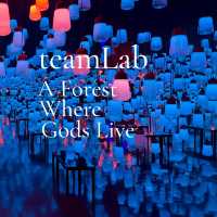 teamLab : A Forest Where Gods Live