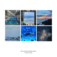 野柳海洋世界-海洋生態探索