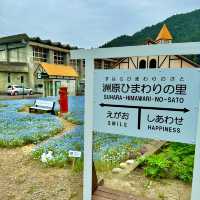 洲原ひまわりの里