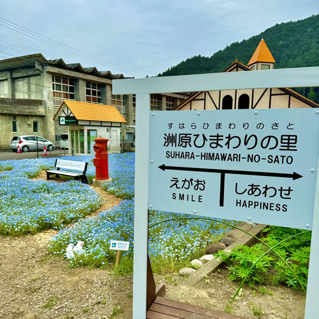 洲原ひまわりの里
