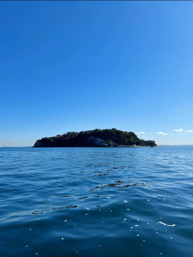 忙しい人の現実逃避スポット🌿都心から約1時半で行ける無人島🫣🏝🩵【猿島】