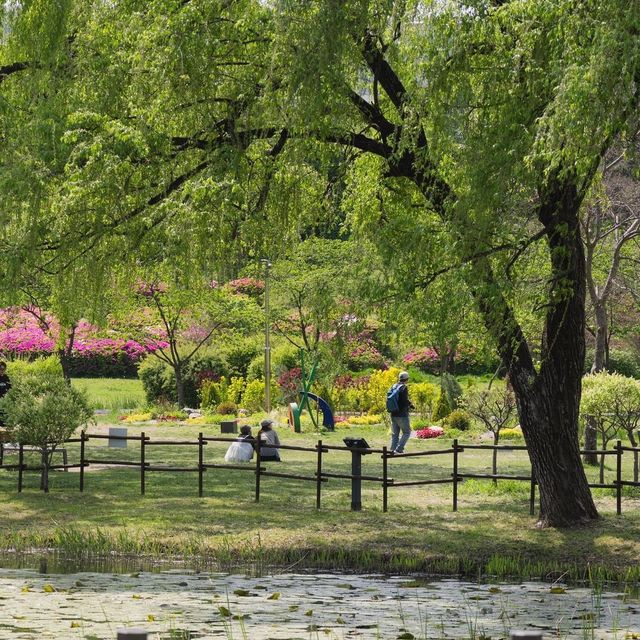 Seoul’s Green Oasis