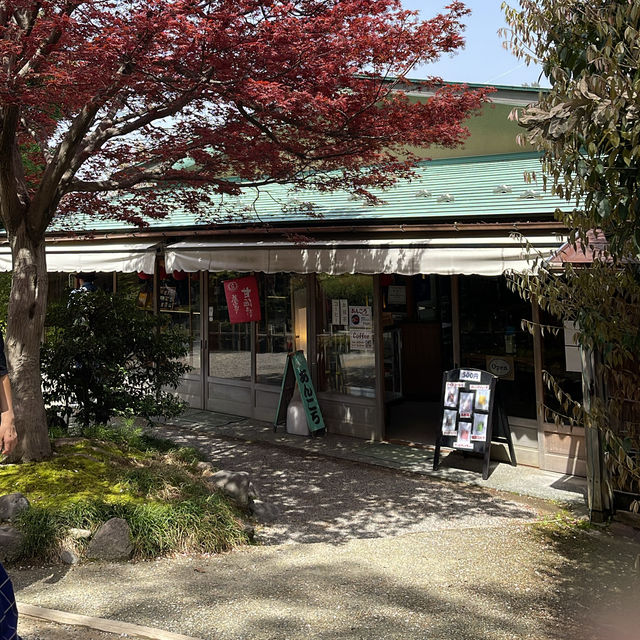 Kanazawa’s Elegant Kenrokuen