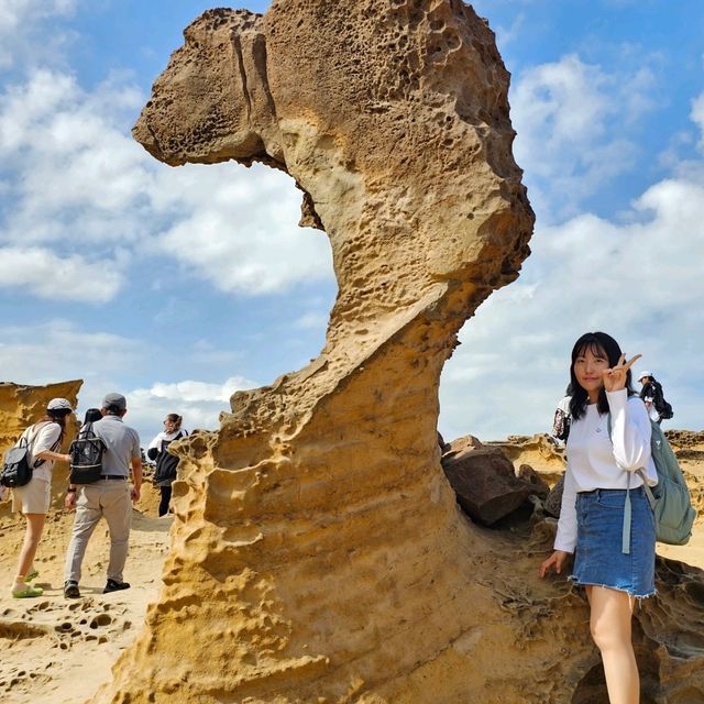 도시와 자연이 공존하는 타이베이여행✈️