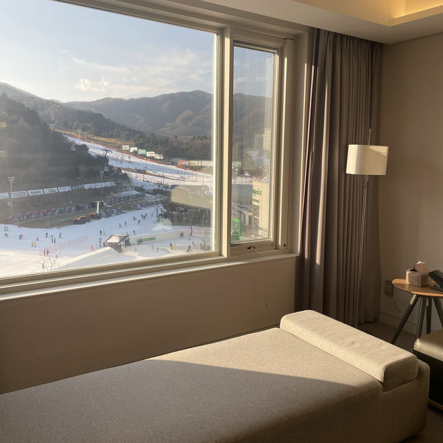객실에서 바라보는 스키 슬로프⛷️ 평창 휘닉스호텔 스위트룸