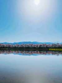 春の絶景 あさひ舟川春の四重奏