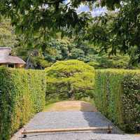 「山形十五軒公園：浪漫櫻花林，市民遺產」