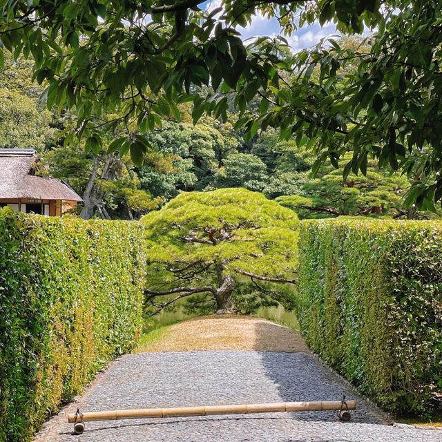 「山形十五軒公園：浪漫櫻花林，市民遺產」