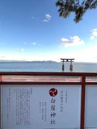 【滋賀観光】琵琶湖の中の大鳥居が圧巻⛩夕暮れ時も素敵です✨