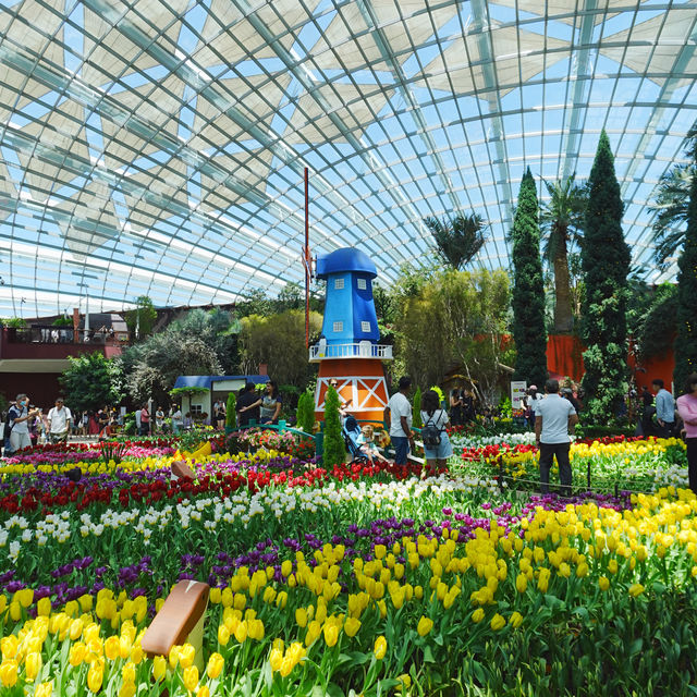 新加坡之有得嘆冷氣既Flower Dome🌷