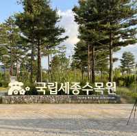 국립세종수목원 야간개장 데이트코스로 딱이에요!