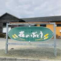 【福岡グルメ】ベジ弁当が買えるお店