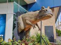 Queensland Museum Tropics | Townsville
