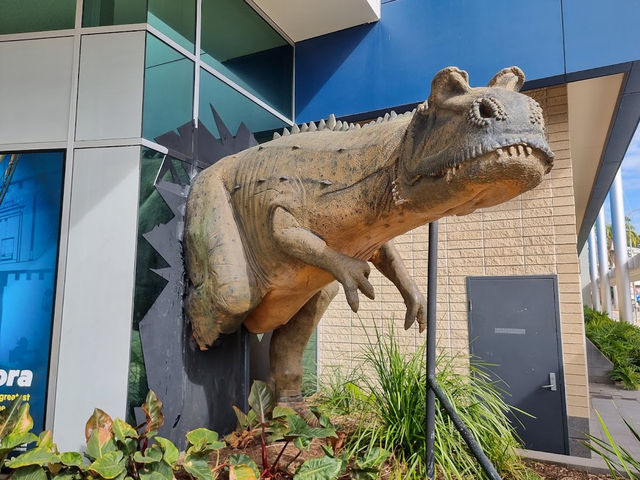 Queensland Museum Tropics | Townsville
