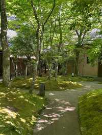 熊本黒川温泉・非日常をゆったり過ごすお宿・野の花