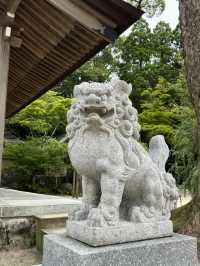 【福岡神社】初夏の風物詩のあじさい祭りがとてもキレイ