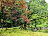 日本東京-靜謐清幽的名石山水園邸：清澄庭園