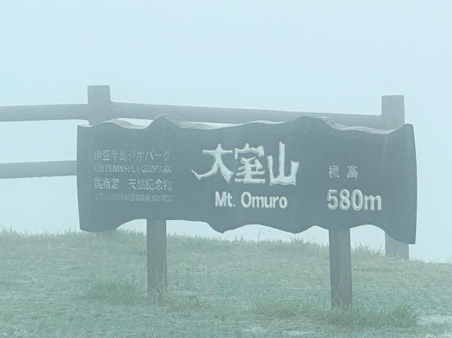 【伊豆大室山】詩意靜岡、東京🗼近郊的難忘體驗