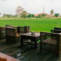 🥘 เสบียงนา ร้านอาหารไทยรสชาติจัดจ้าน