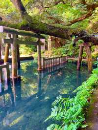 〜茨城県〜神秘的な池があるパワースポット！