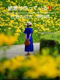 絶景が待っている🤗💛ゆりの楽園💛🤗