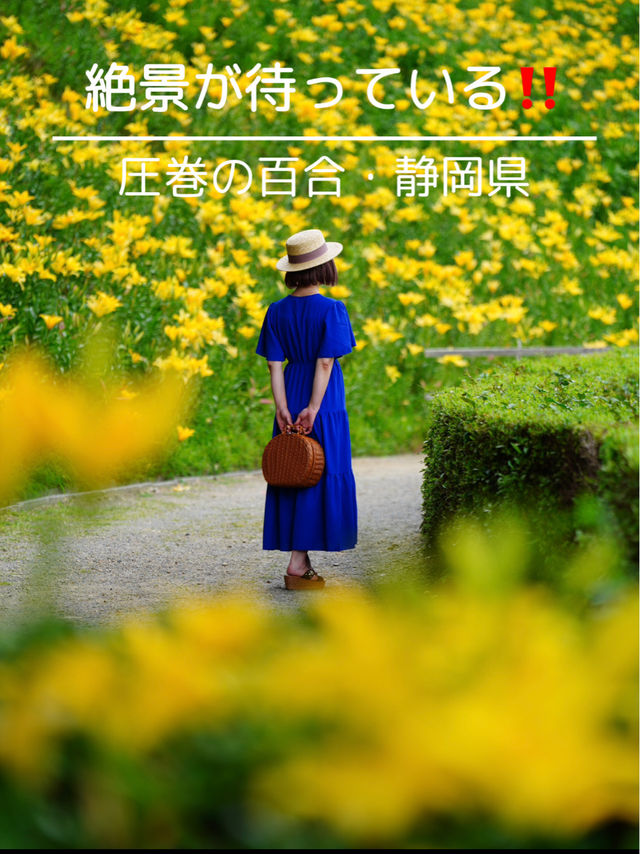 絶景が待っている🤗💛ゆりの楽園💛🤗