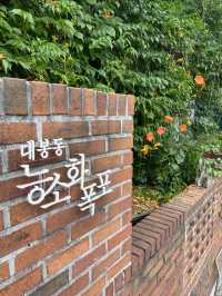 ✨실시간✨ 대구 능소화폭포 지금 가지마세요🤨