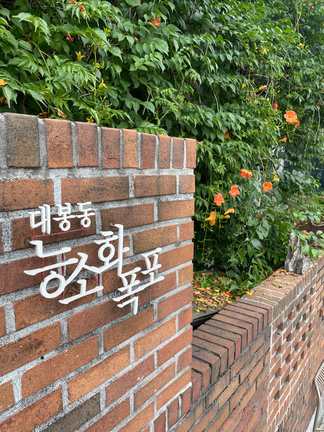 ✨실시간✨ 대구 능소화폭포 지금 가지마세요🤨