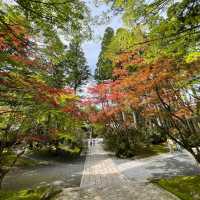 高野山金剛峯寺を訪れました！