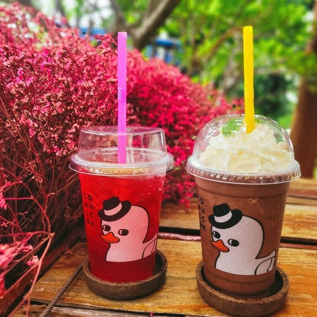 🌿Coco Duck Cafe