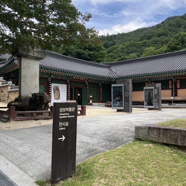구례 필수 코스! 사계절이 모두 아름다운 구례 화엄사!