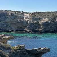 Rottnest island