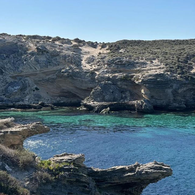 Rottnest island
