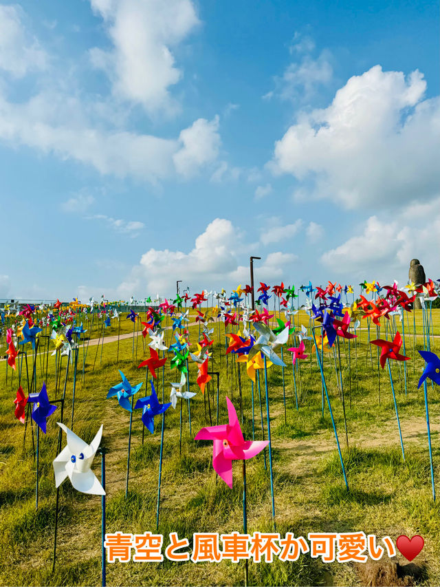 韓国の臨津閣平和ヌリ公園で平和を感じるひとときを🇰🇷