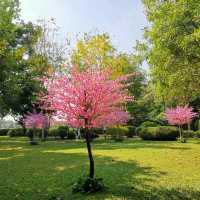 หมู่บ้านญี่ปุ่น พระนครศรีอยุธยา