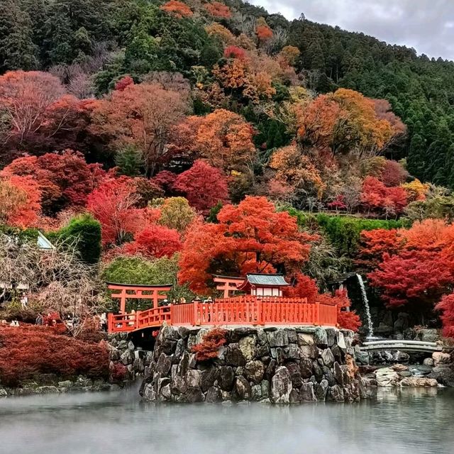 滿滿達摩不倒翁祈求勝利