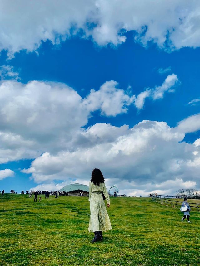 Mother Farm 