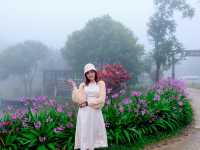 อีต่อง – ปิล็อก ไปเที่ยวกี่ทีก็หลงรัก